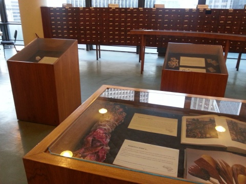 Vista interna da Biblioteca Euclides da Cunha