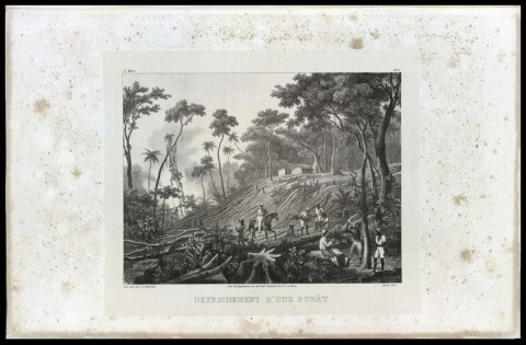 DEROY, Laurent. Defrichement d’une forêt. Paris [França]: Lith. de G. Engelmann, [1835]. 1 grav, pb.
