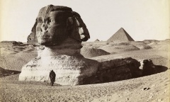 Imagem da exposição Uma viagem ao mundo antigo – Egito e Pompeia nas fotografias da Coleção D. Thereza Christina Maria que mostra homem em frente à esfinge de Gizé, no Egito. Cópia fotográfica albuminada.